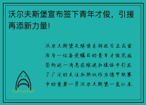 沃尔夫斯堡宣布签下青年才俊，引援再添新力量!