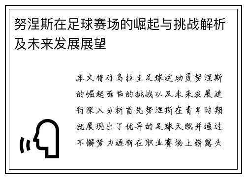 努涅斯在足球赛场的崛起与挑战解析及未来发展展望