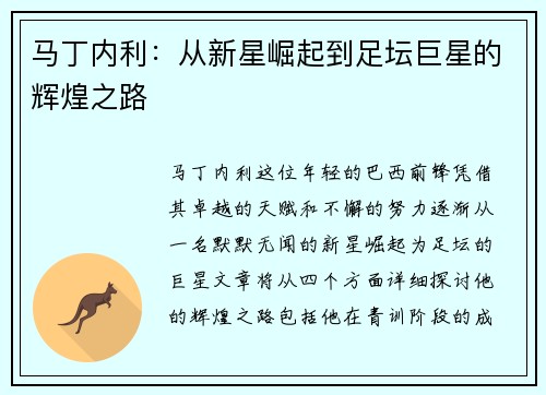 马丁内利：从新星崛起到足坛巨星的辉煌之路